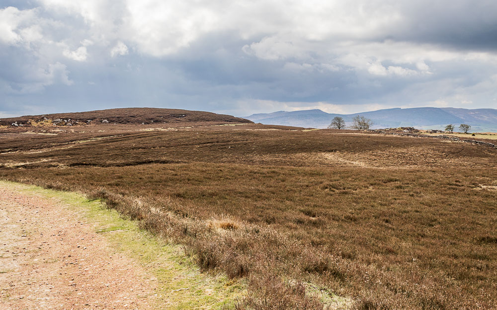 Simonside Simonside